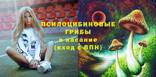 ПСИЛОЦИБИНОВЫЕ ГРИБЫ Абинск