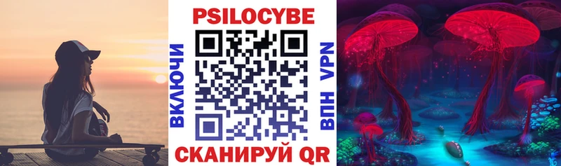 omg зеркало  Аксай  Галлюциногенные грибы Psilocybe 